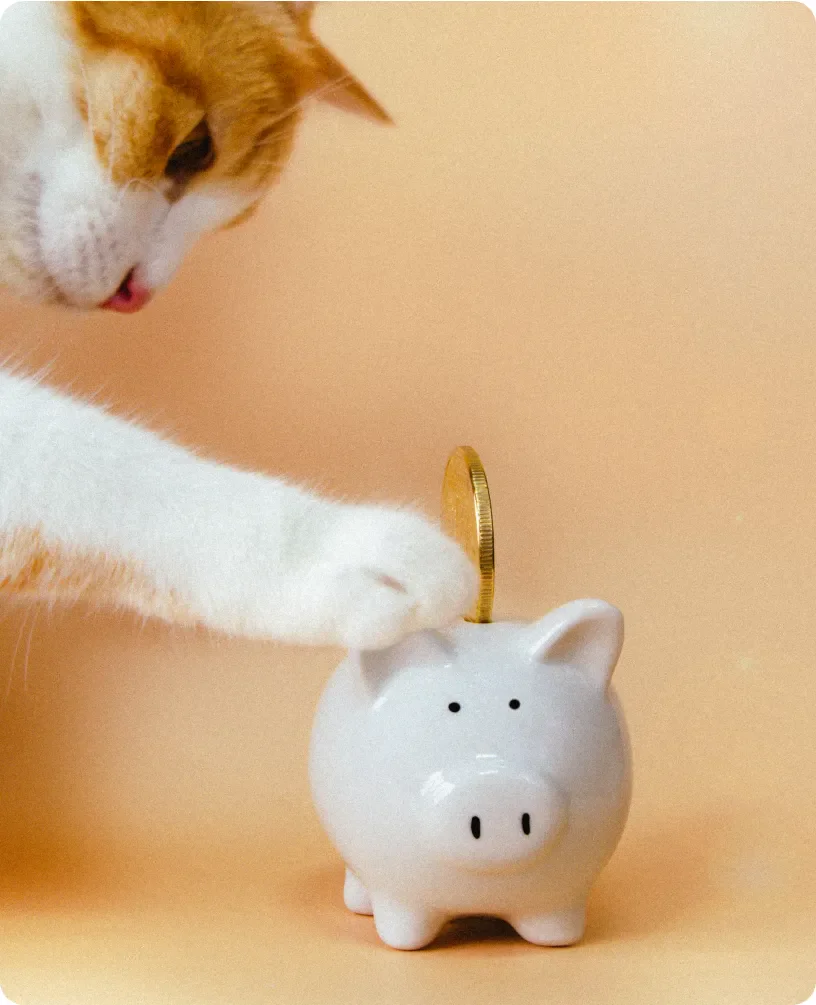大切な愛猫を守りたい...！ 私は『ペット貯金箱』で楽しく貯蓄♪