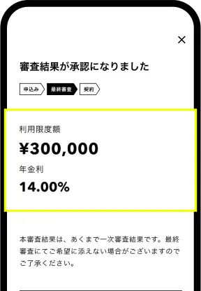 年金利、利用限度額を提示する画面